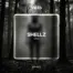 shellz artwork