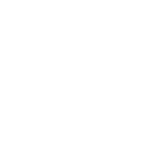 sound flex main icon